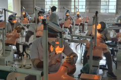 PRECLINICAL-1-3