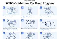 WhatsApp-Image-2025-10-08-at-13.13.35