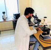 digital-microscope
