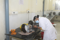 ORTHO-Wet-Lab-2